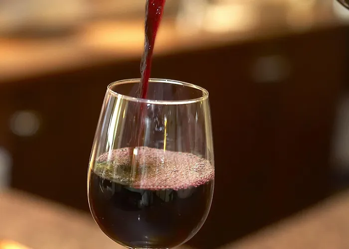 호텔 Hof Gelre By Flow 로헴